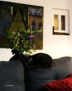 nou nou cat sleeping with lilac flowers