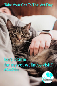 feline wellness visit #cat2vet