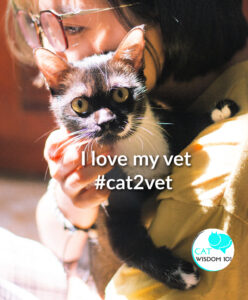 i love my vet-#cat2vet