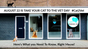 Take your cat to the vet day #cat2vet cat clinic