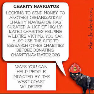 charity navigator.org