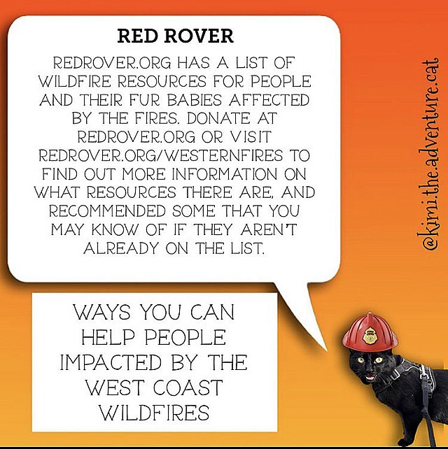 redrover.org
