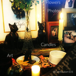 altar for cat lovers