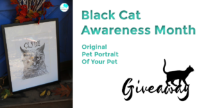 black cat awareness month giveaway
