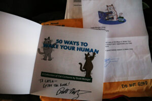 50 ways to wake your human cat cartoon book