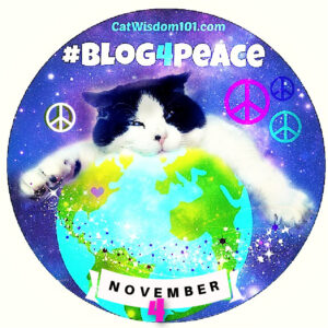 blog 4 peace cat domino
