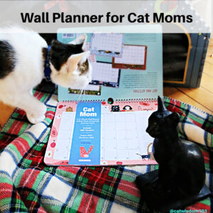 wall planner cat calendar