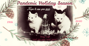 pandemic christmas cats