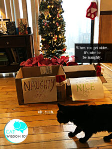naughty nice christmas cat
