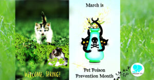 pet poison awareness month