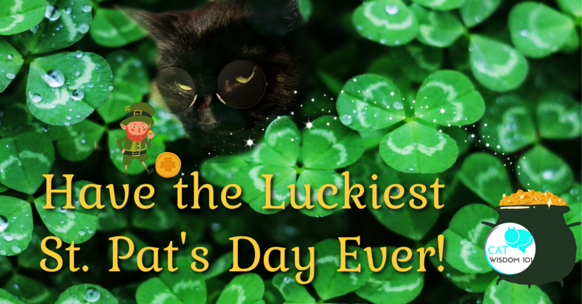 st. patrick's day cats