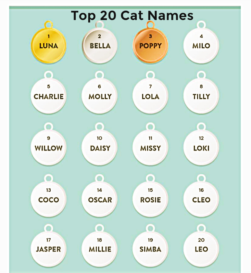 top cat names popular