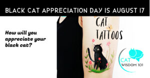 black cat-appreciation day-tattoos