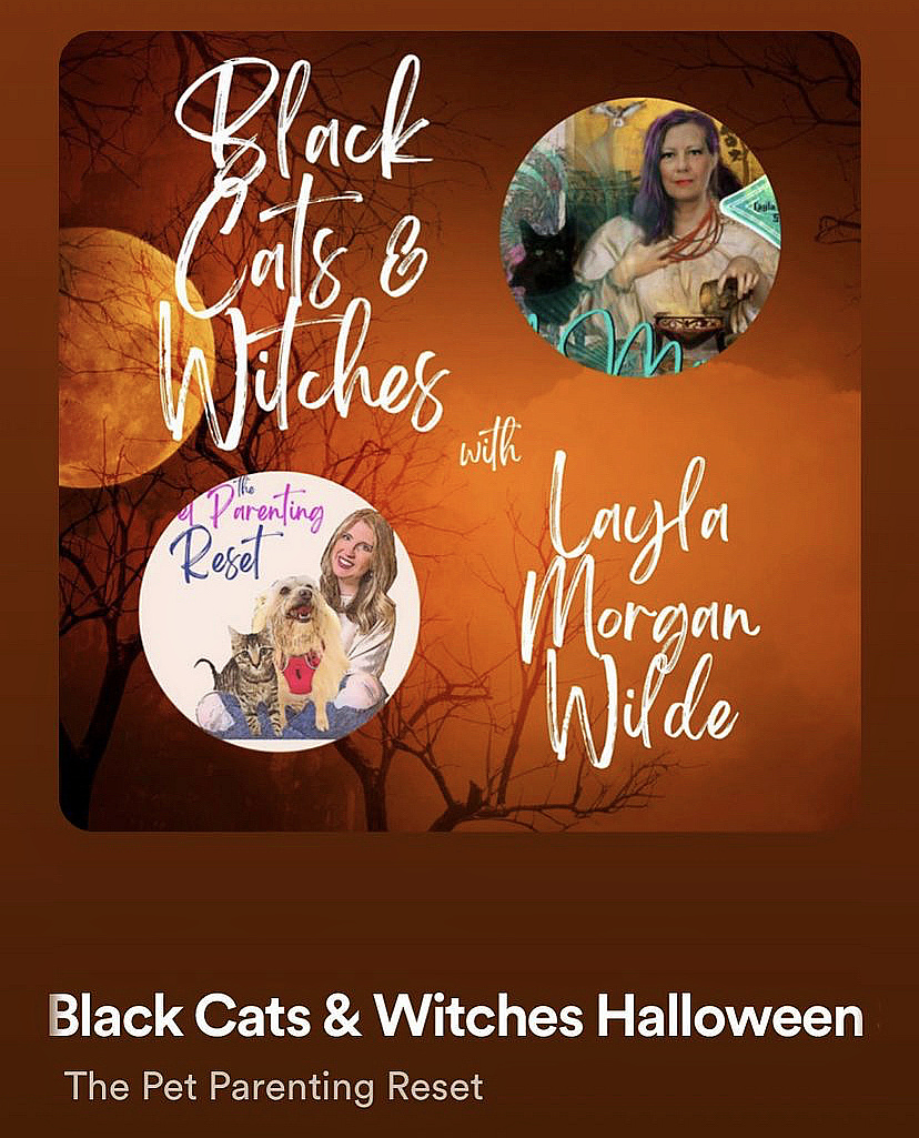 black cats podcast layla morgan wilde