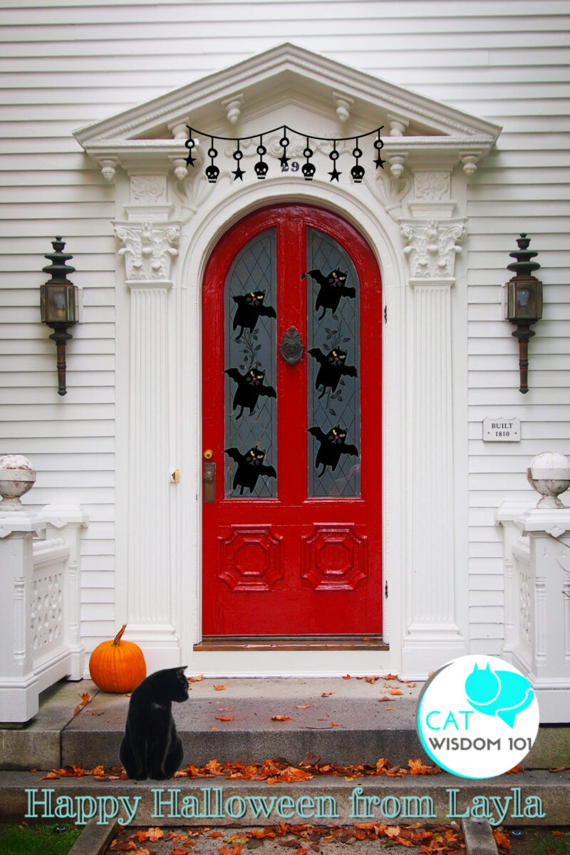 Halloween card red door-black cat
