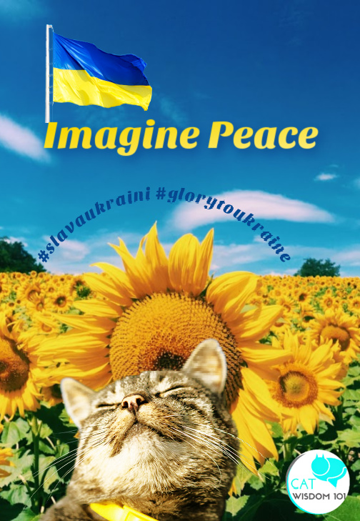 imagine peace in Ukraine