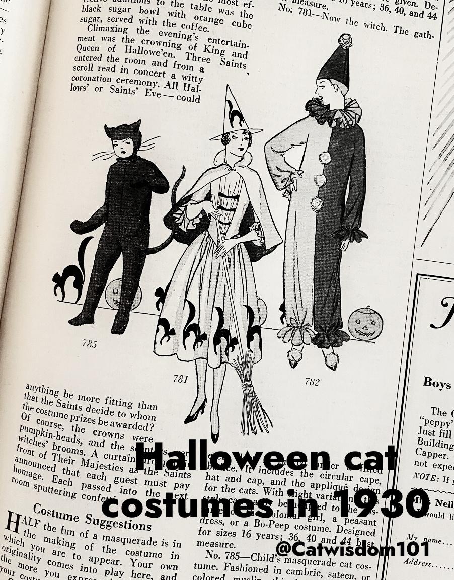 vintage halloween costumes cats