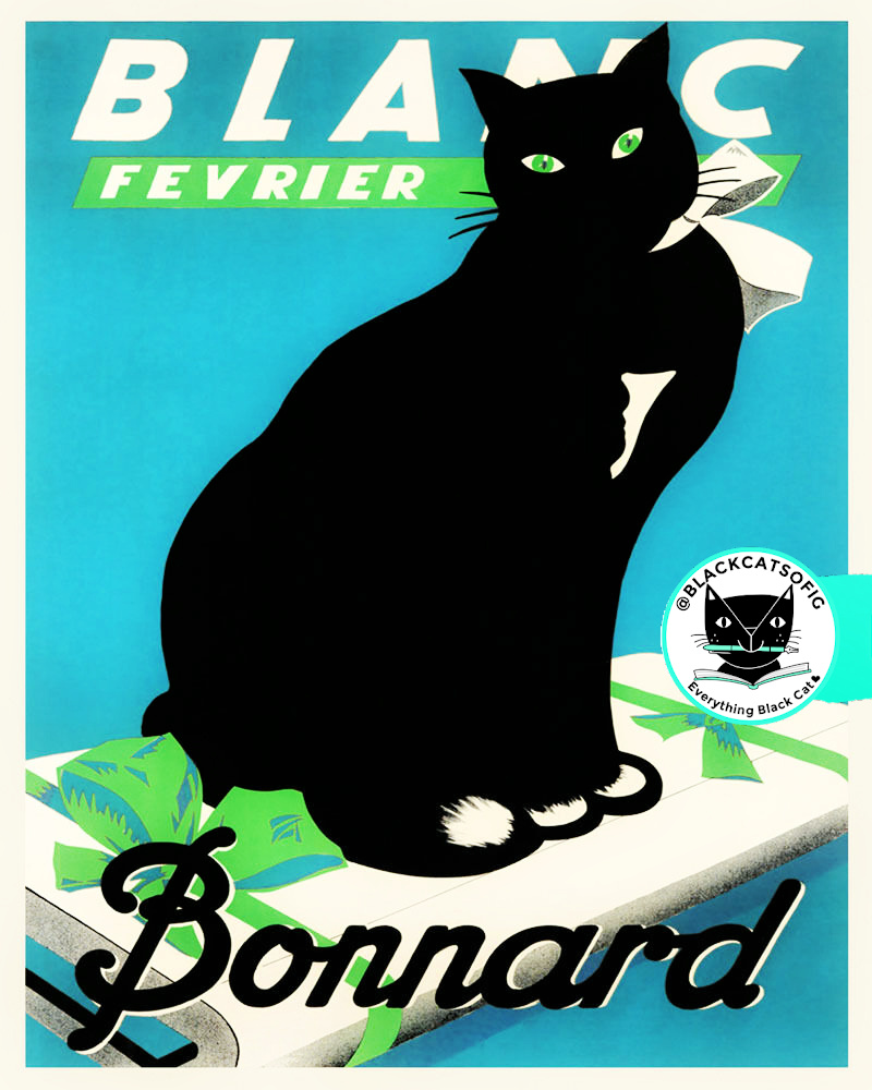 vintage black cat ad
