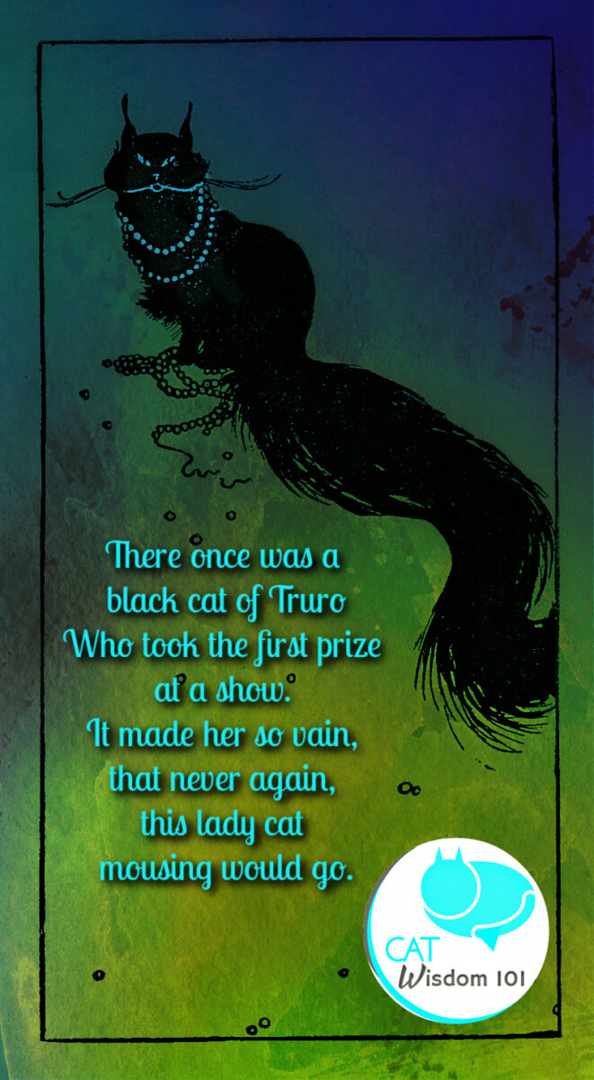 black cat limerick