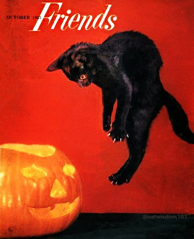Friends Halloween cat magazine