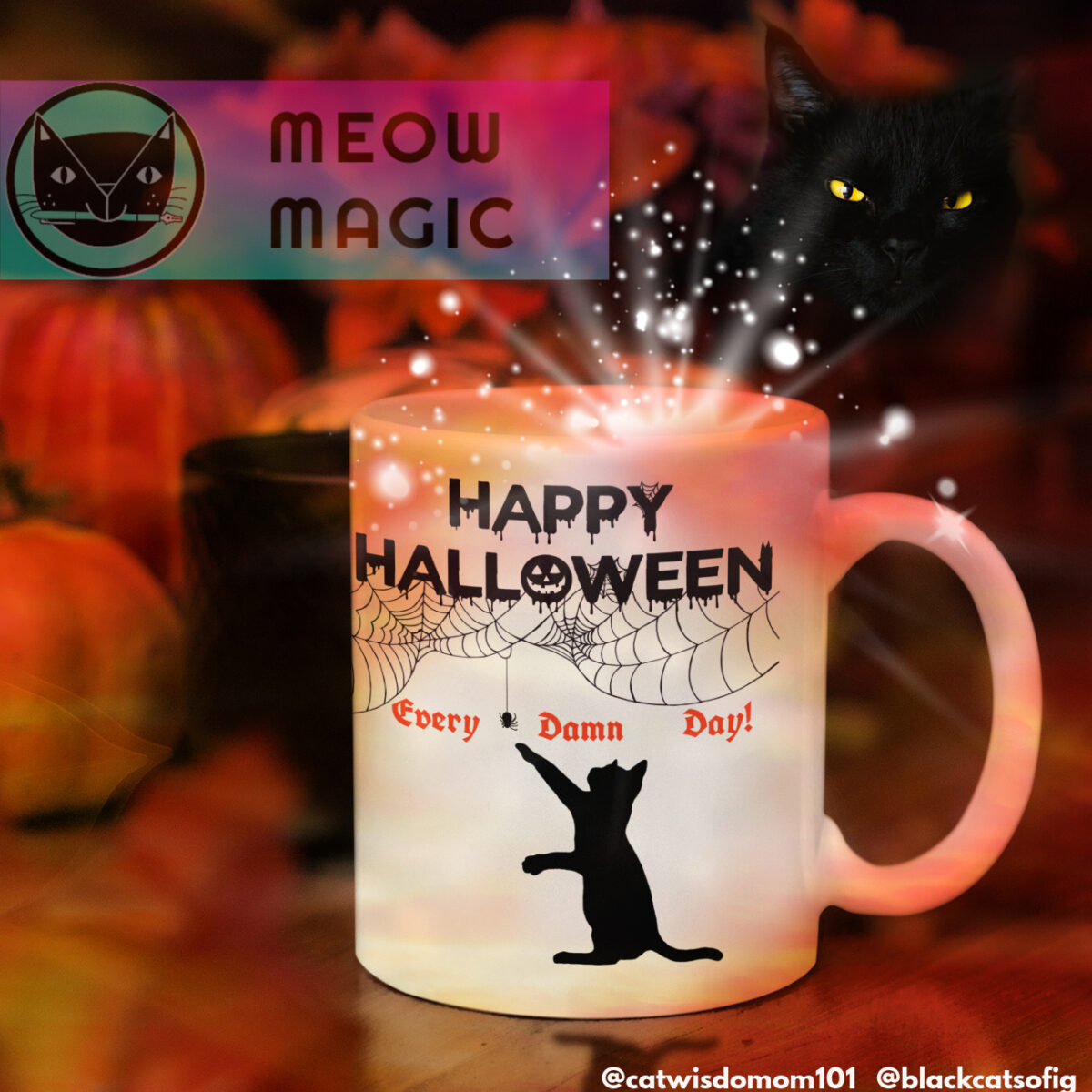 halloween black cat mug