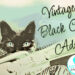 vintage black cat ad art