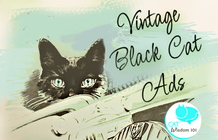 vintage black cat ad art