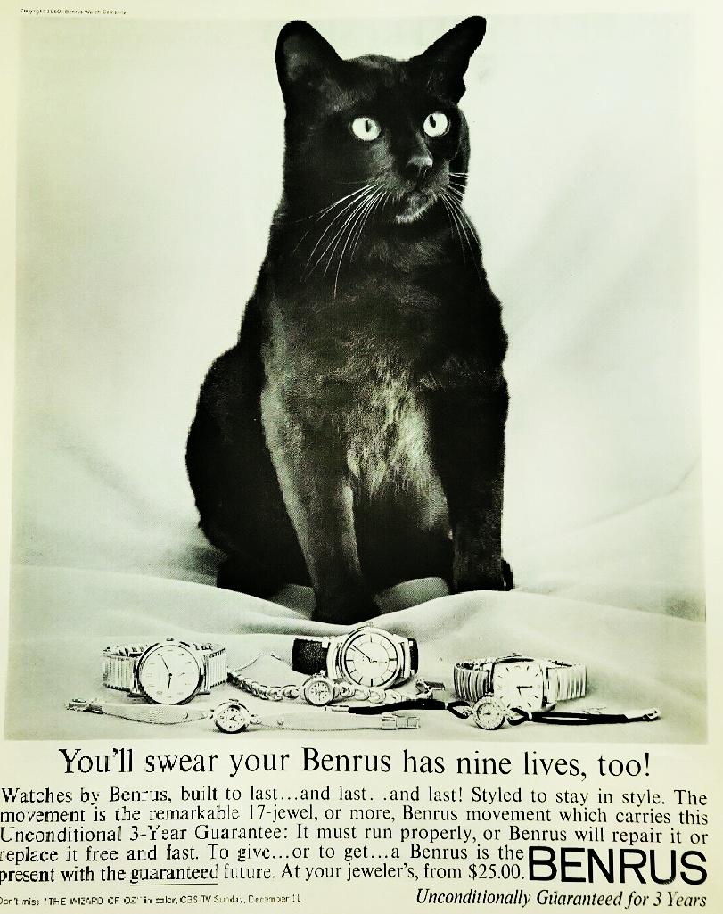 vintage ad watch with black cat