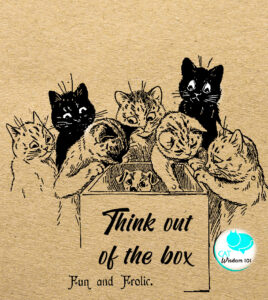 think out of the box cats