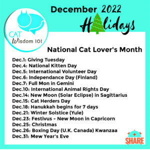 december cat lovers holidays