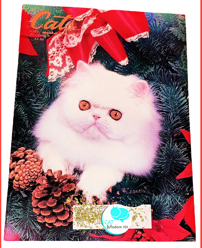vintage white cat christmas magazine