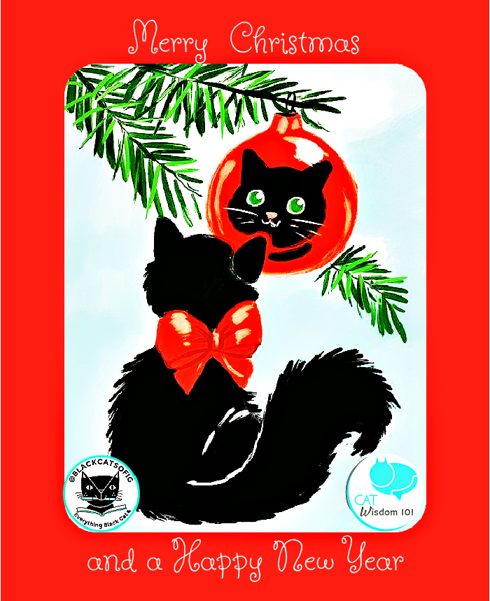 vintage black cat christmas card