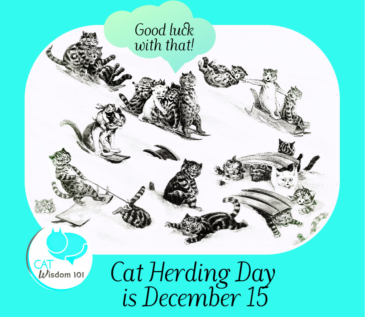cat herding day December 15