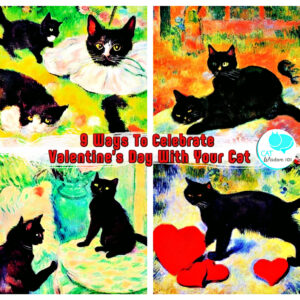 9 ways to celebrate Valentine's Day with Your Cat