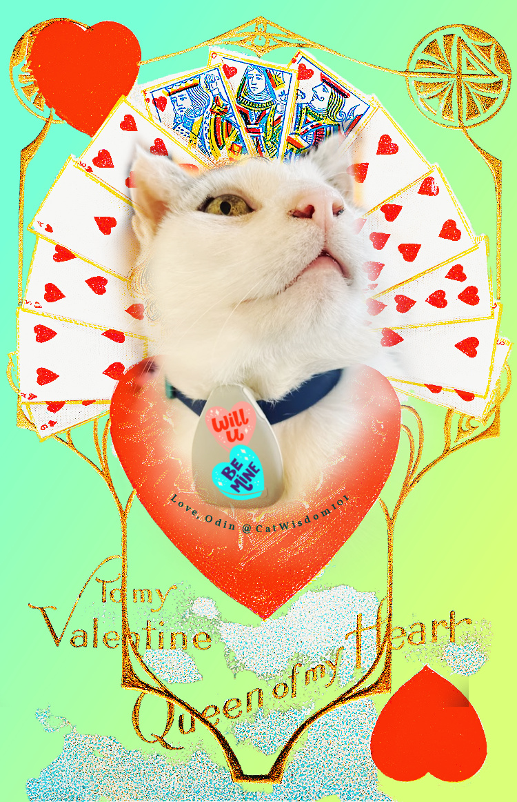 valentine queen of hearts with cat