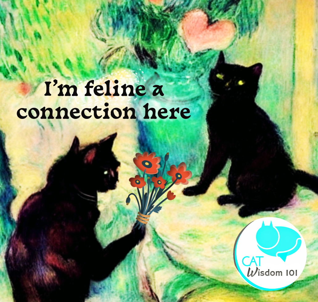 I'm feline a connection with you Cats Valentine Ai art quotes