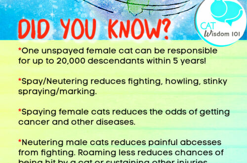 world spay day-spay/neuter facts