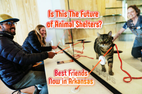 best friends pet resource center