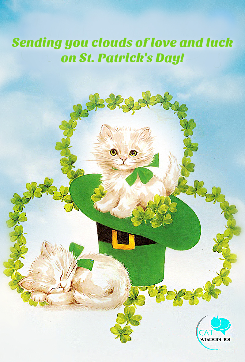 lucky st. patrick's day cats