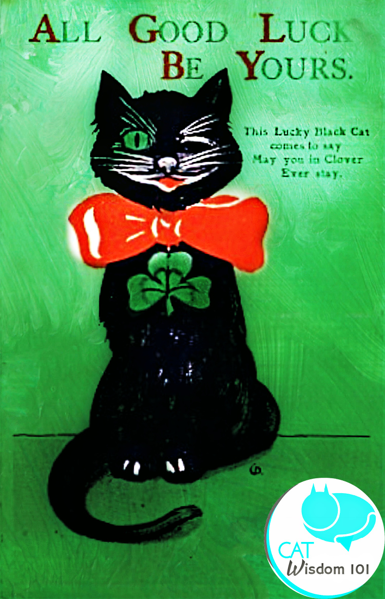 lucky st. patrick's day cats