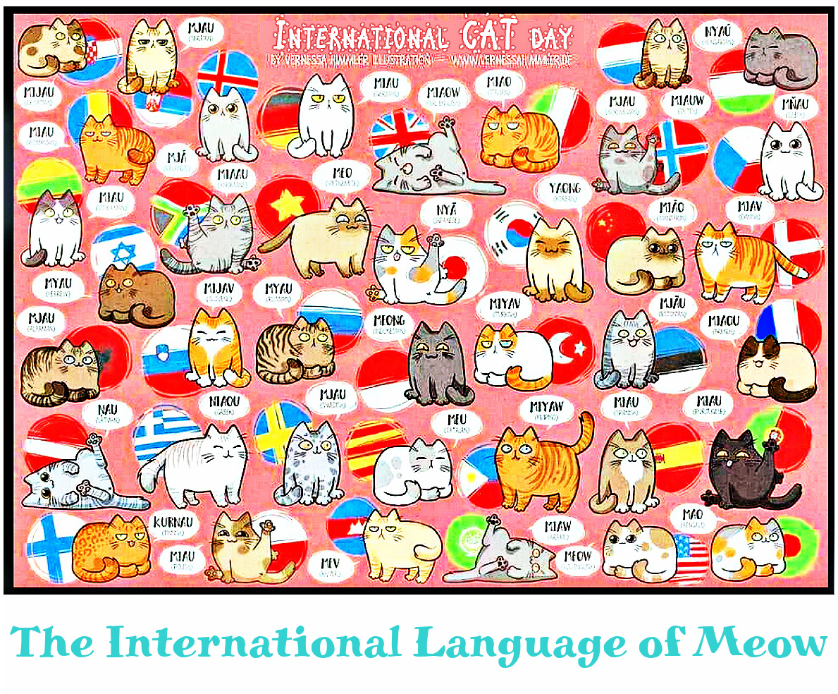 meow in different languages