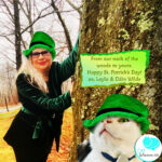 lucky st. patrick's day cats-Cat wisdom 101