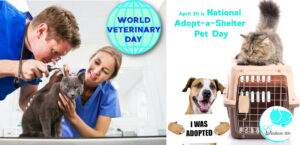 world veterinary adopt shelter pet day