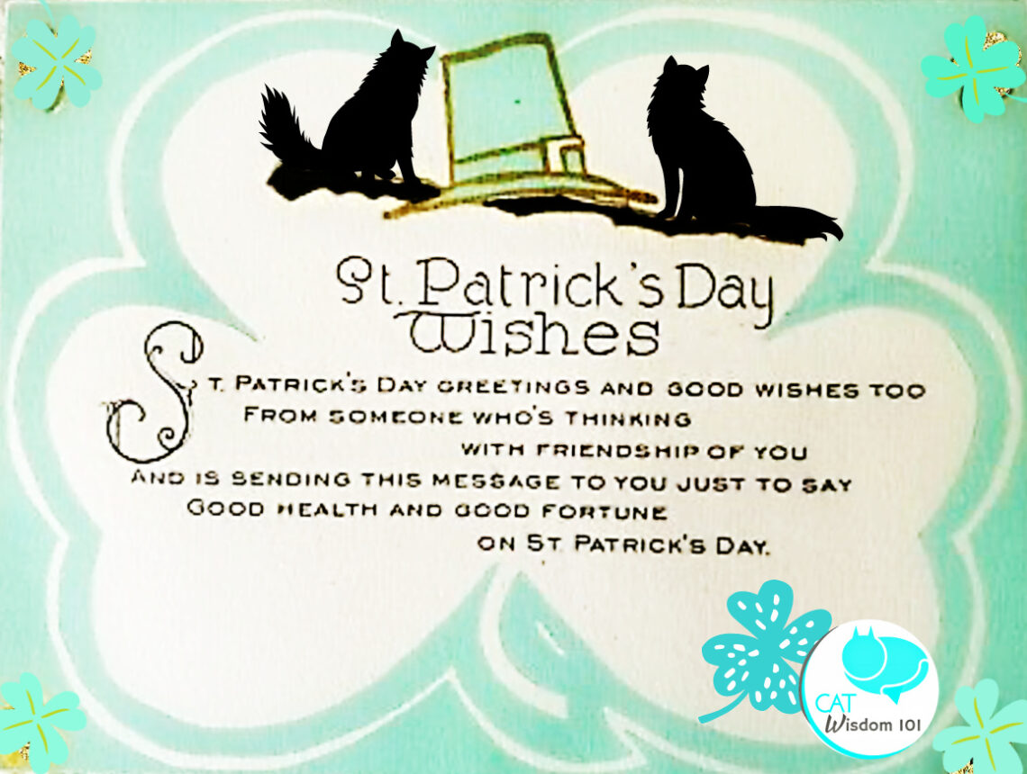 Lucky Irish Cats Limericks St Patricks Day