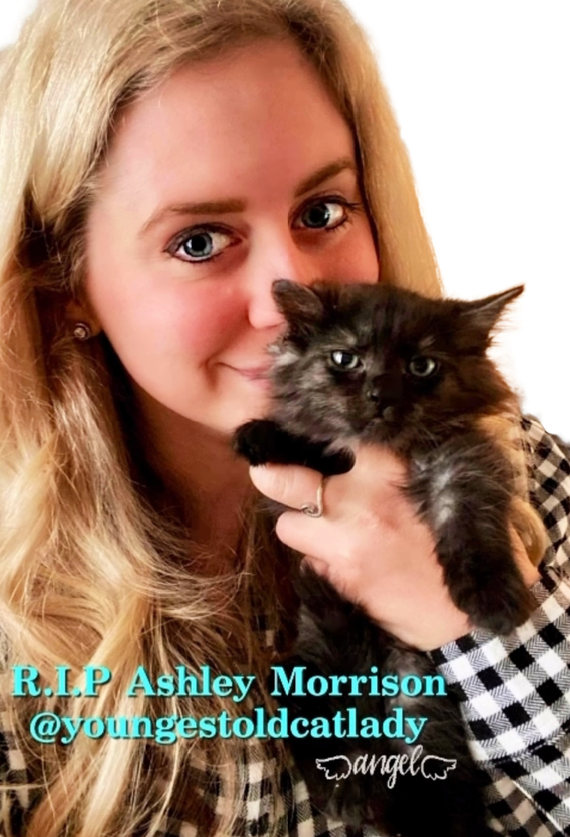 youngest old cat lady-Ashley Morrison
