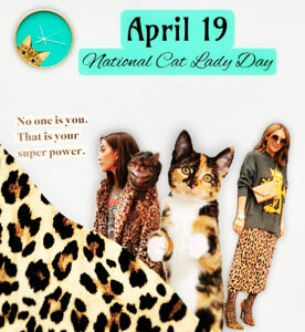 national cat lady day-video collage