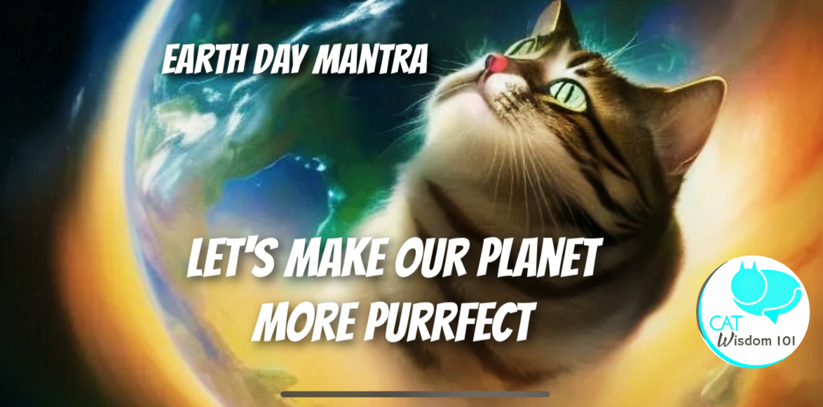 eco-friendly earth day with cats