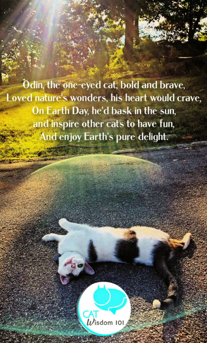 Odin cat Earth day poem