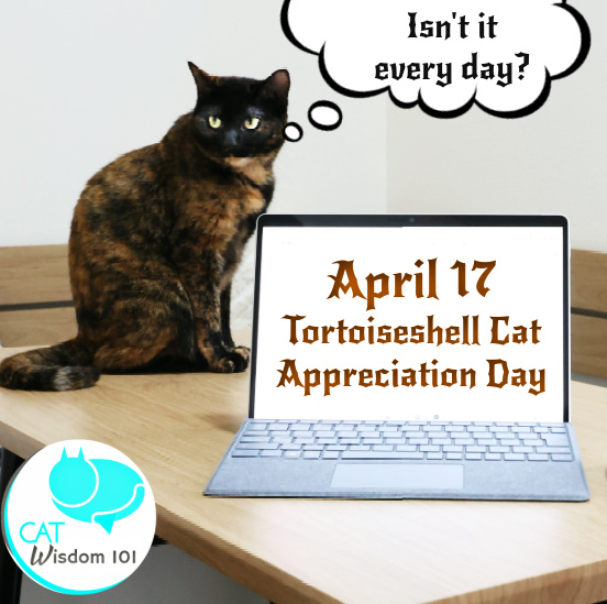 Tortoiseshell Cat Appreciation Day