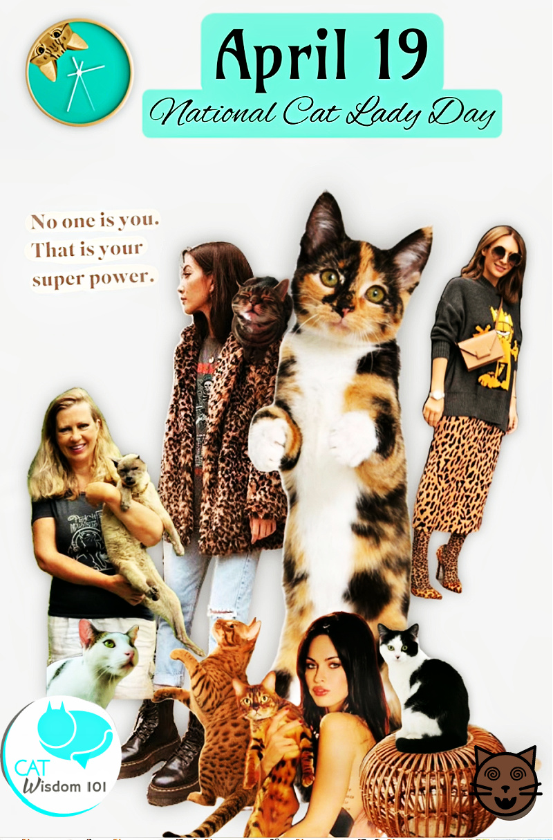 April 19 National Cat Lady Day Cat Wisdom 101 0914